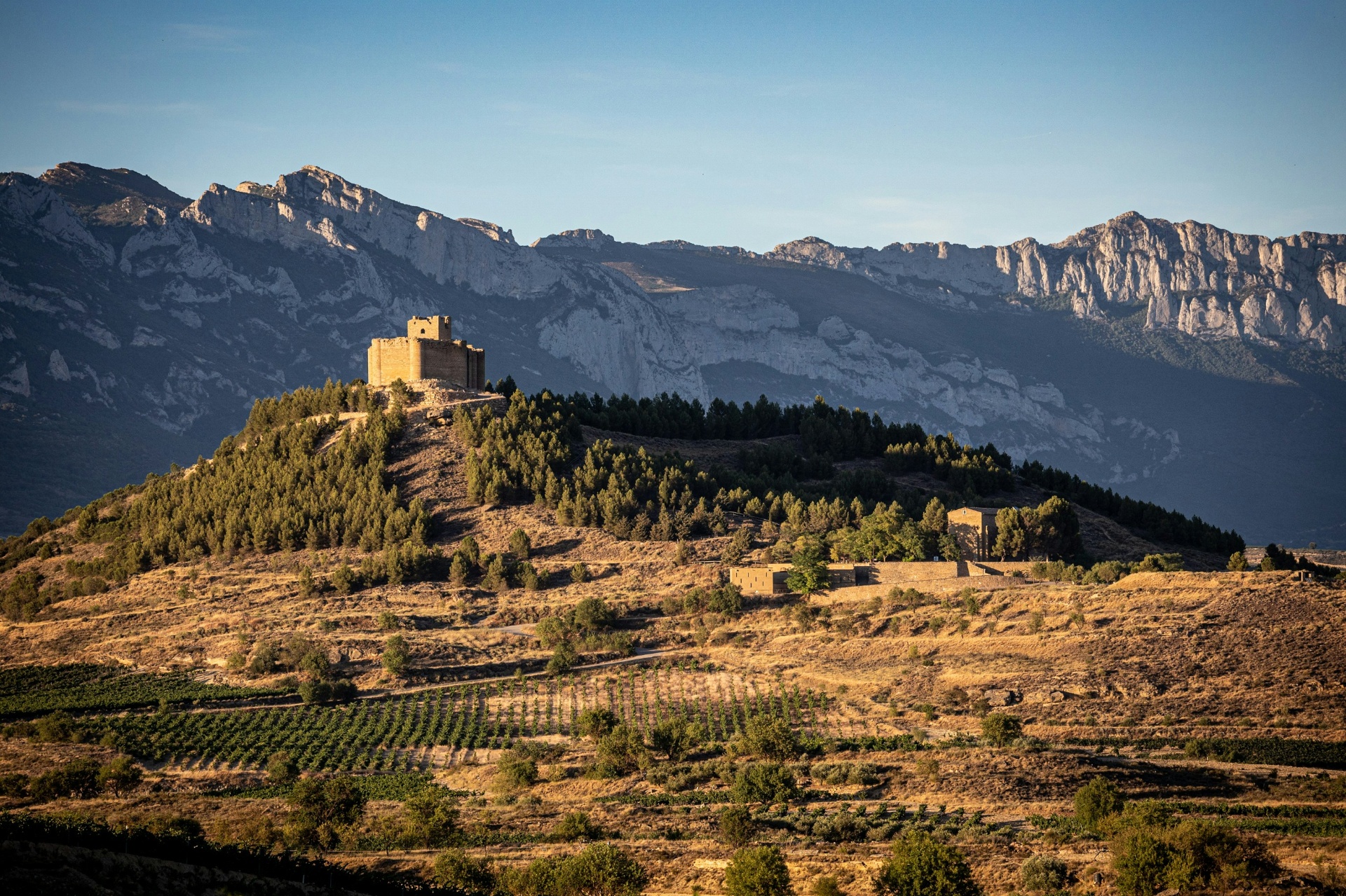 Castillo medieval entre viñedos con la Sierra de Cantabria al fondo en La Rioja - España
