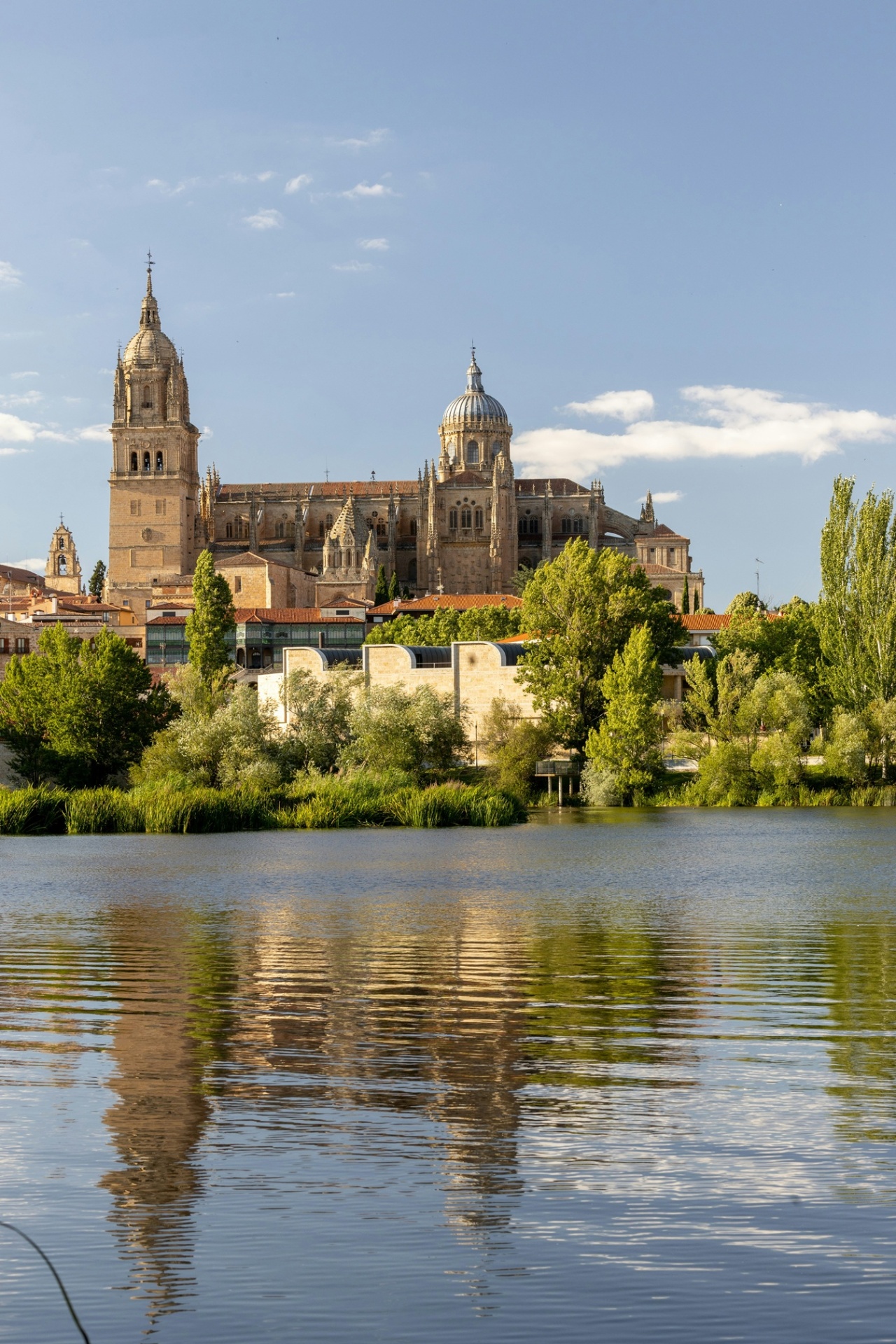 Catedral de Salamanca reflejada en el Río Tormes al atardecer - Castilla y León, España