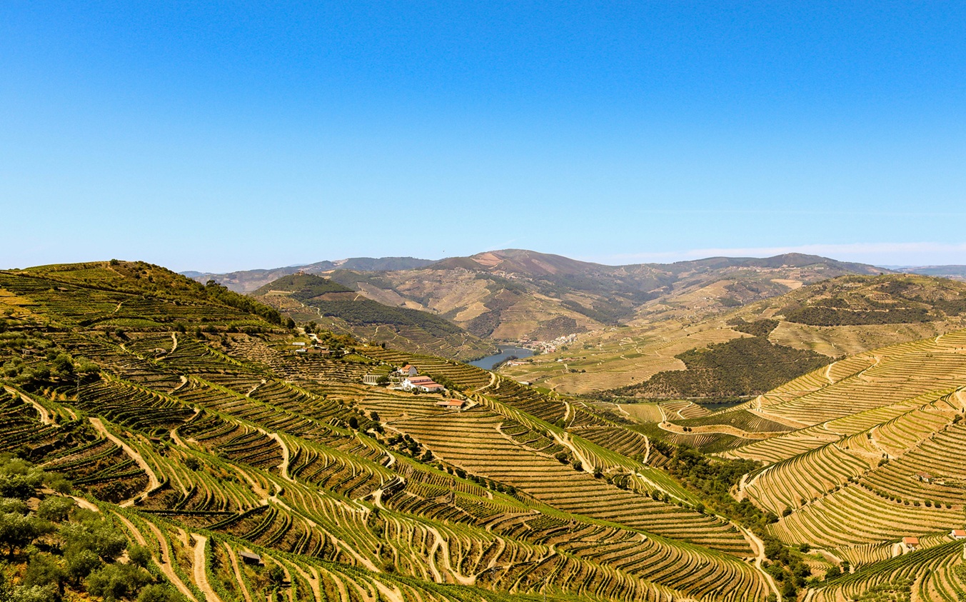 Vinhas em socalcos no Vale do Douro, Património Mundial da UNESCO